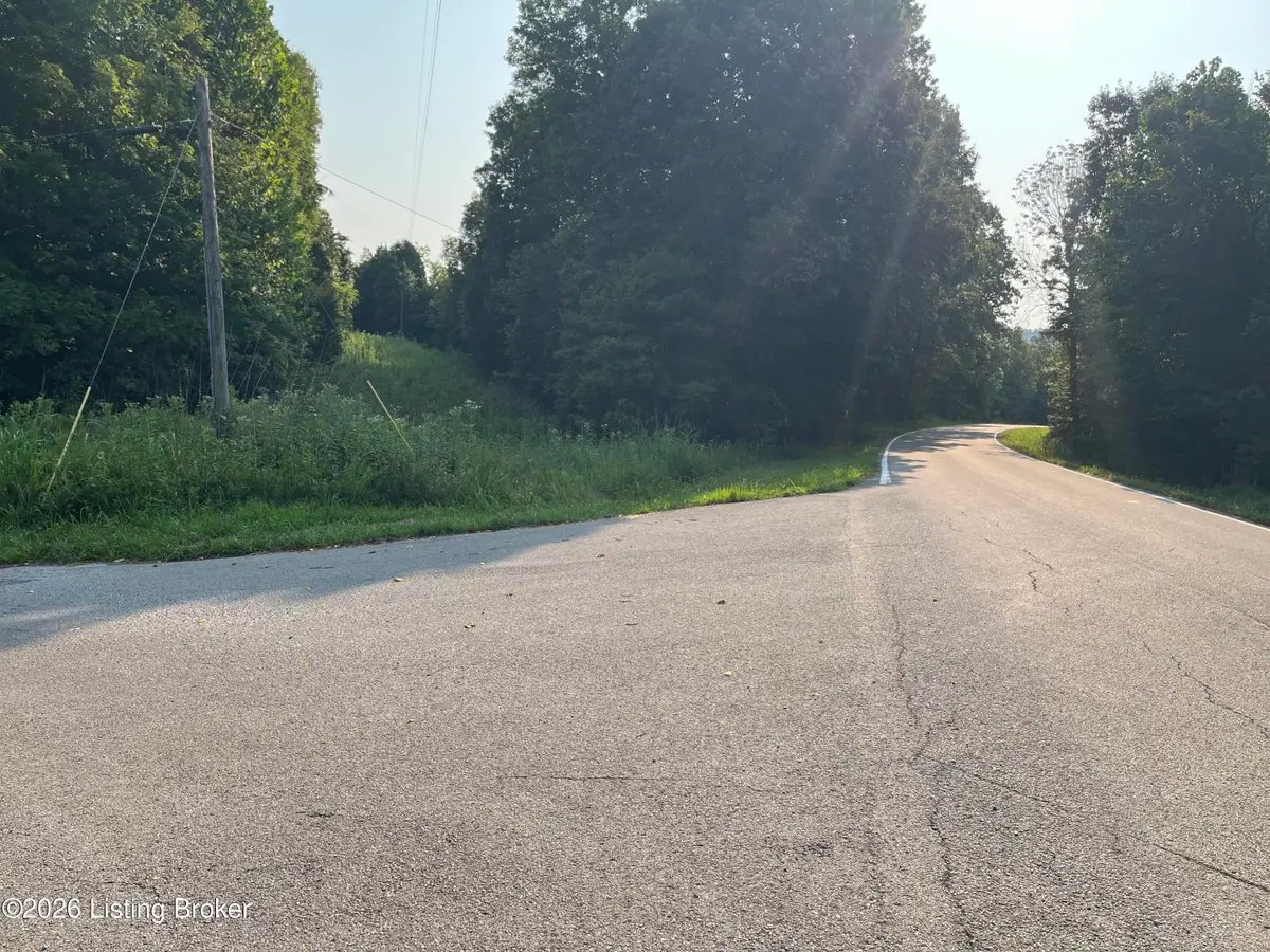 30 Vic Young Rd, Olaton, KY 42361 - #1