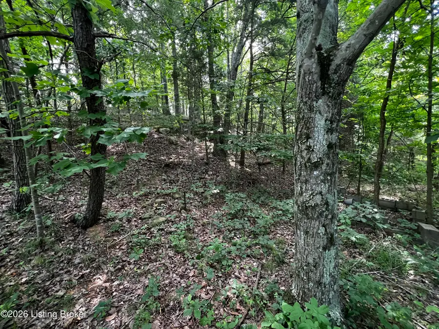 L175 Sassafras Dr #1, Clarkson, KY 42726 - #3
