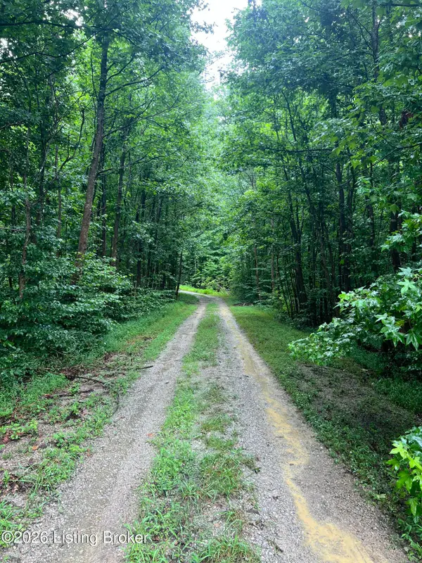 550 Wilson Creek Rd, Boston, KY 40107