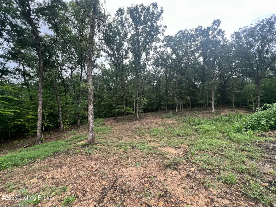 550 Wilson Creek Rd, Boston, KY 40107 - #3