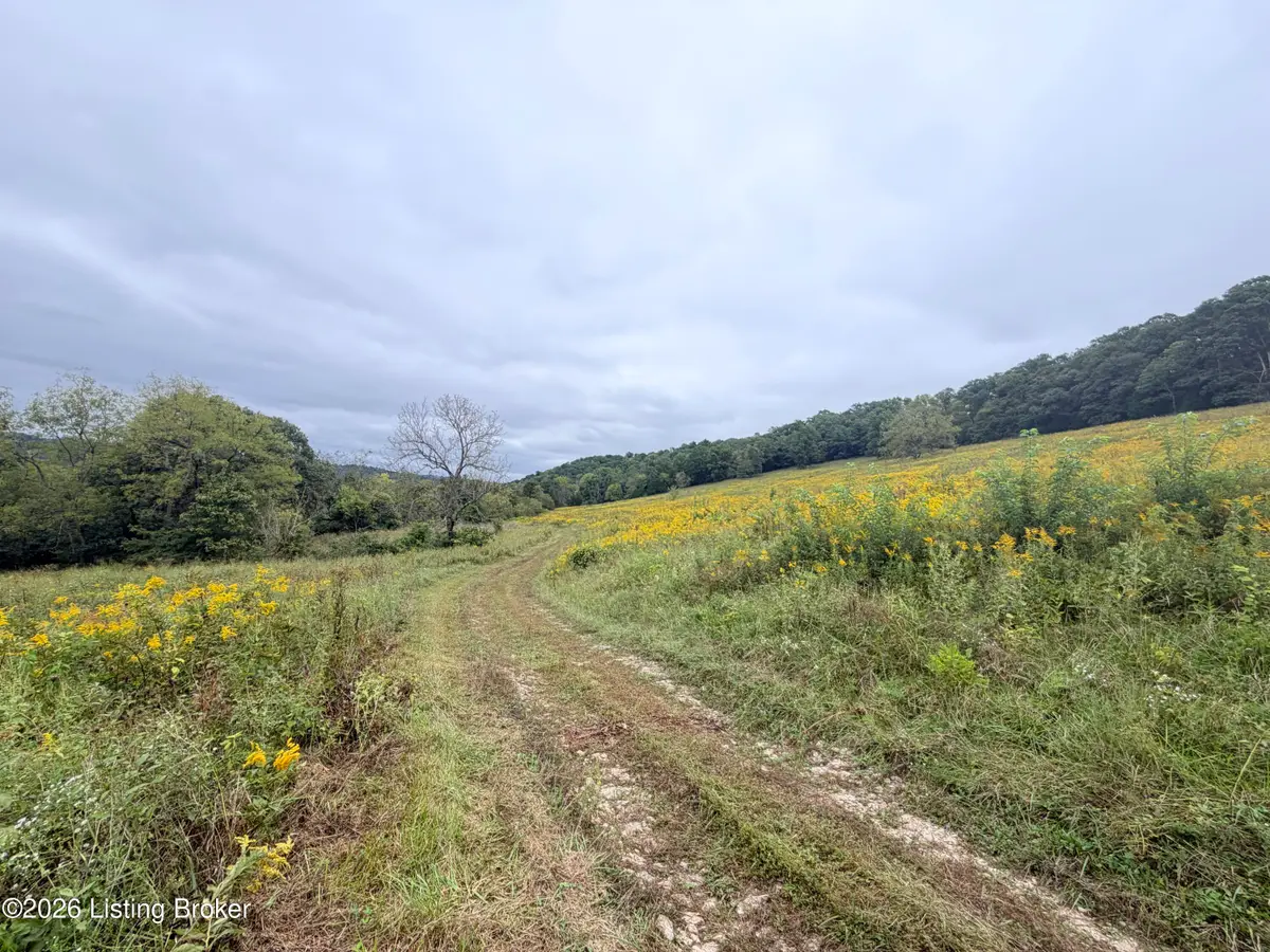 0 Hwy 355, Worthville, KY 41098 - #1