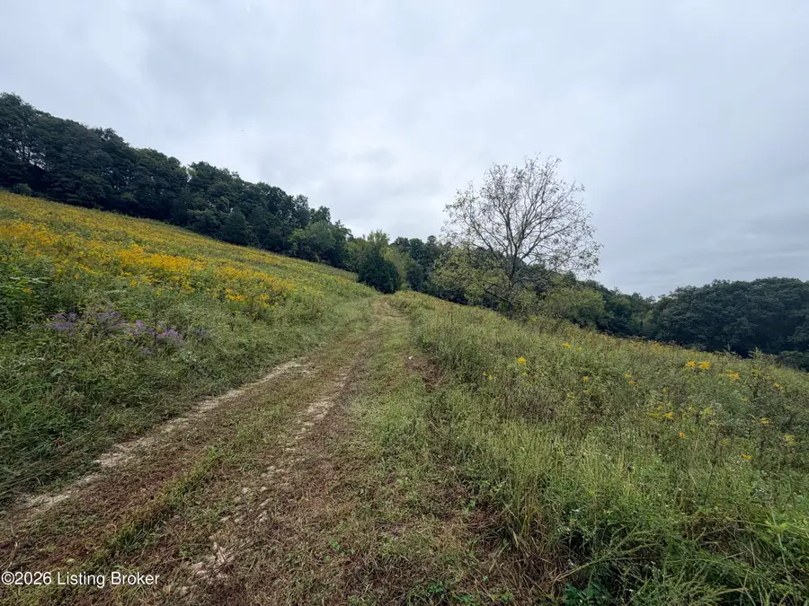 0 Hwy 355, Worthville, KY 41098 - #2