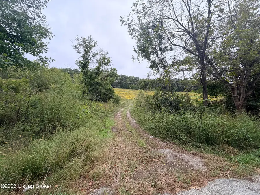 0 Hwy 355, Worthville, KY 41098 - #3