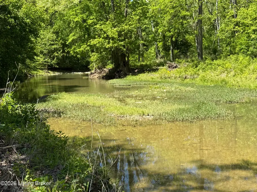Tract 4 Pea Ridge Rd, Waddy, KY 40076 - #2