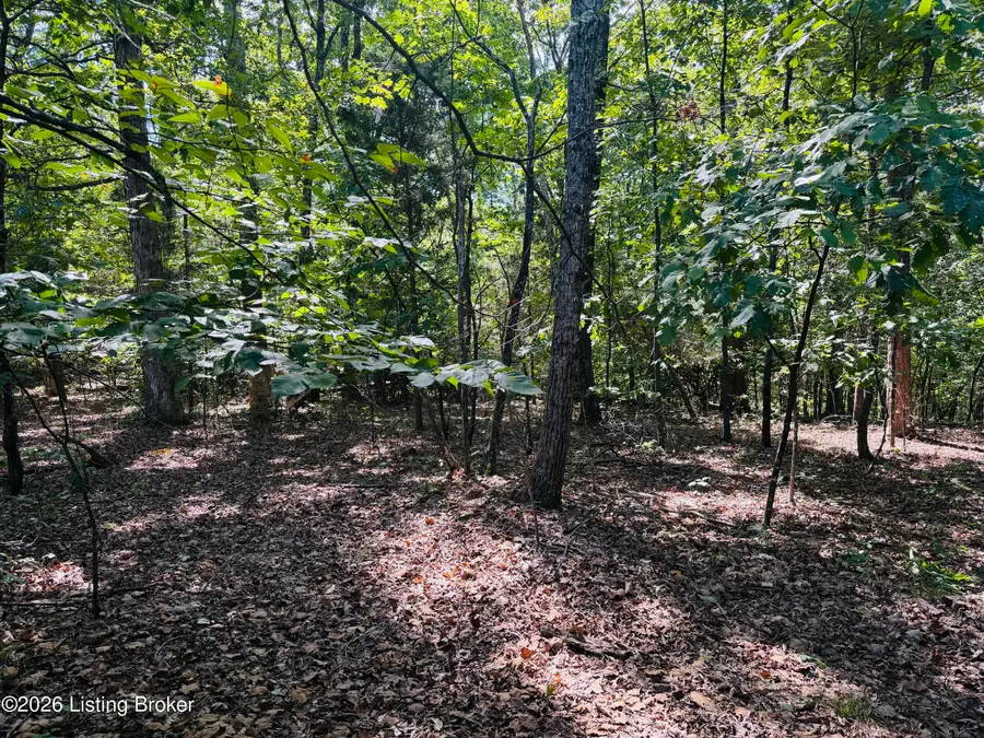 LOT 50-51 Rams Run, Shepherdsville, KY 40165 - #3
