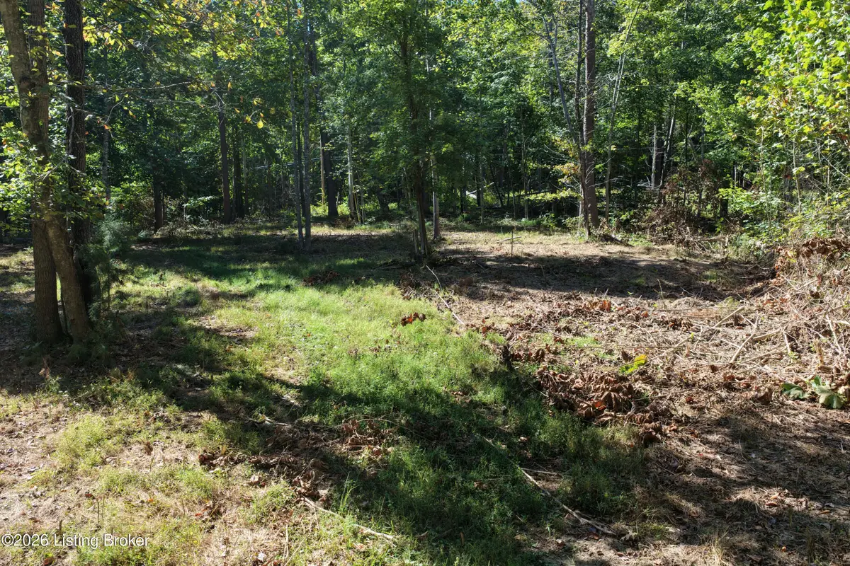 0 Rockledge Rd, Falls Of Rough, KY 40119 - #1