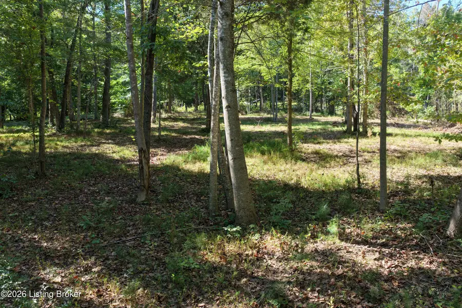 0 Rockledge Rd, Falls Of Rough, KY 40119 - #3