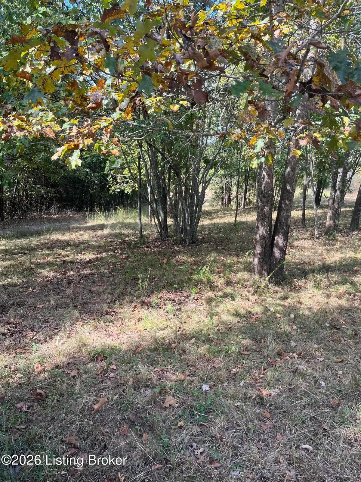 1234 Blain Cannon Dr, Falls Of Rough, KY 40119 - #1
