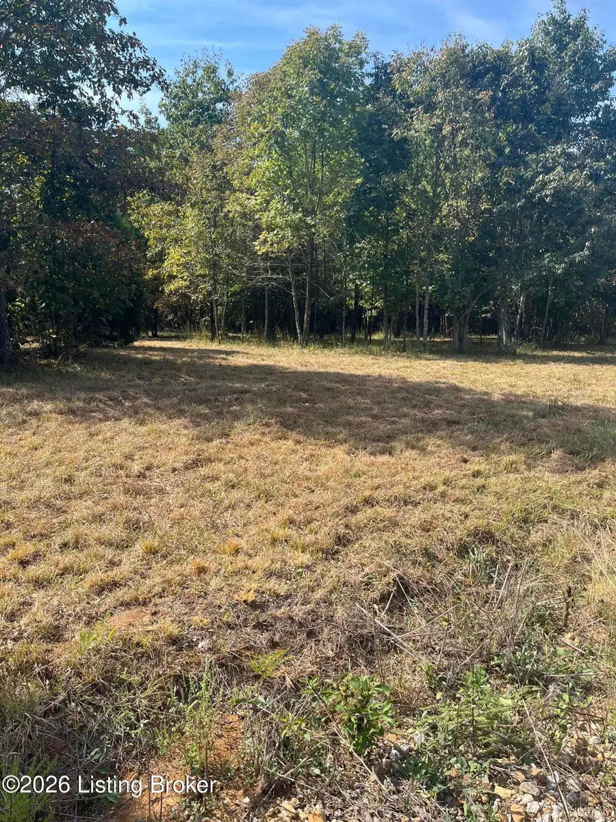 1234 Blain Cannon Dr, Falls Of Rough, KY 40119 - #2
