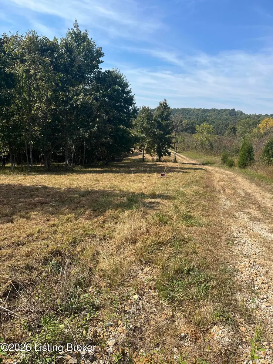 1234 Blain Cannon Dr, Falls Of Rough, KY 40119 - #3