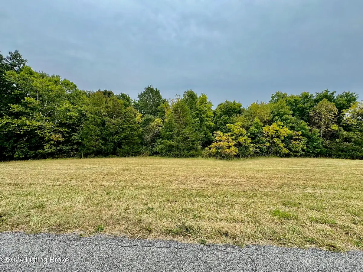 301 Hillsboro Ln, Springfield, KY 40069 - #1