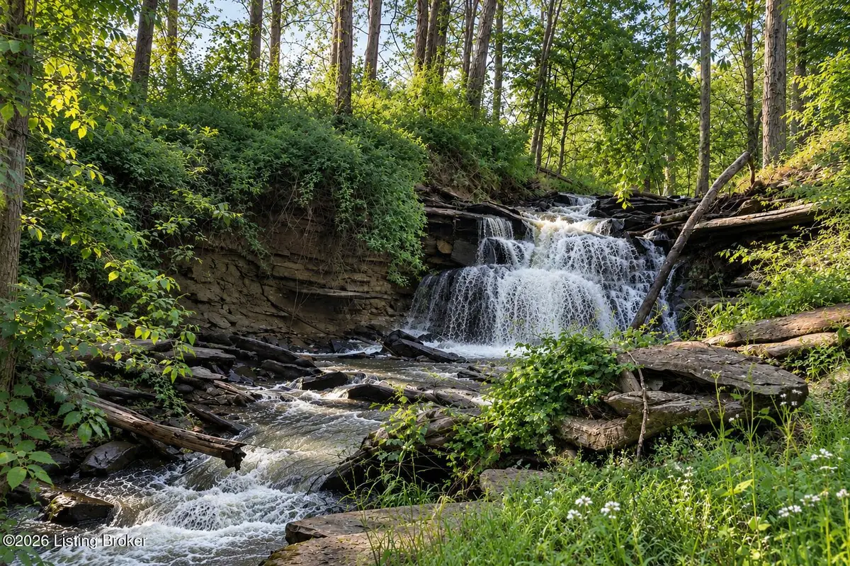 TRACT 78 - "waterfall" Lot @ Stallard Sp, Shelbyville, KY 40065 - #1