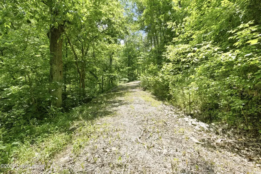 1411 Barebone Rd, Bedford, KY 40006 - #3