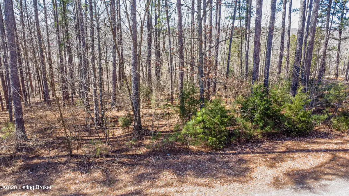 11 Marina Point Ln, Falls Of Rough, KY 40119 - #1