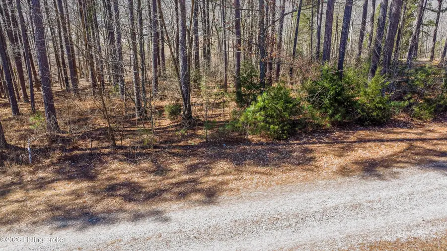 11 Marina Point Ln, Falls Of Rough, KY 40119 - #2