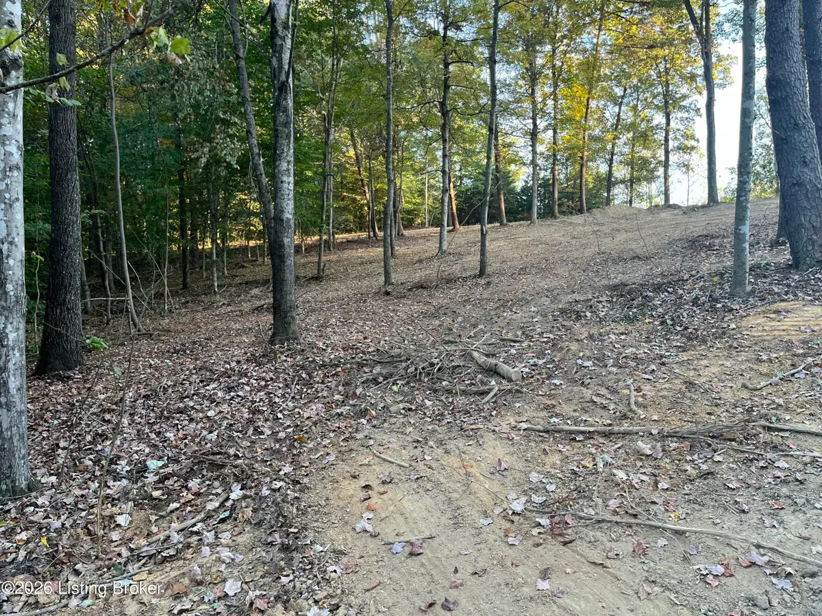 0013 Wildwood Ln, Caneyville, KY 42721 - #1
