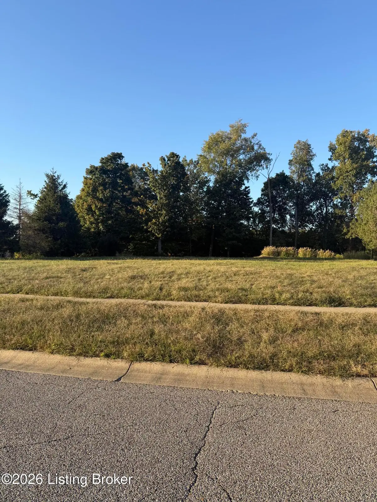 9004 Grand Pointe Ct, Louisville, KY 40214 - #1