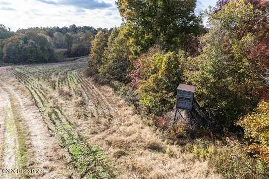 0 Morris Lane, Falls Of Rough, KY 40119 - #3