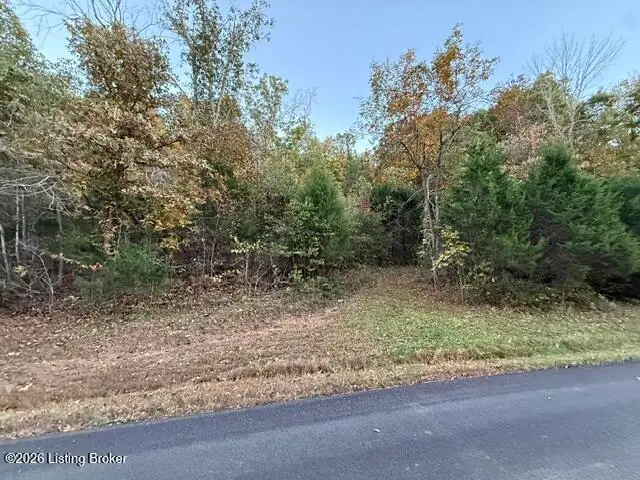 4451 Church Of God Rd, Custer, KY 40115 - #1