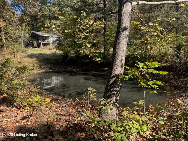 360 Twin Island Ln, Boston, KY 40107 - #1