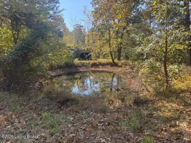 360 Twin Island Ln, Boston, KY 40107 - #3