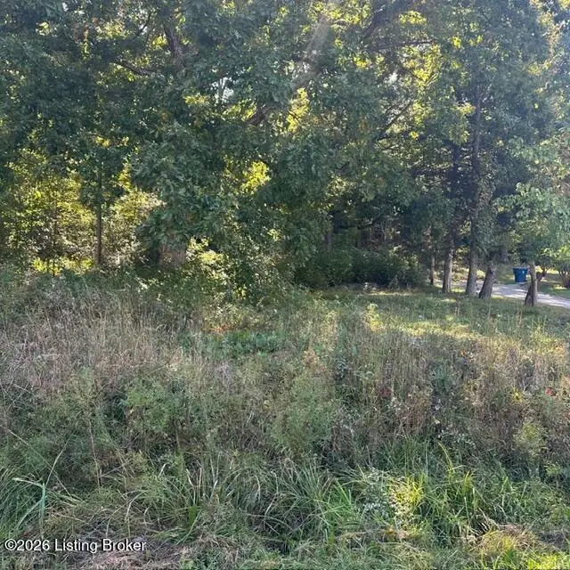 1 Forest Hill Rd, Shepherdsville, KY 40165 - #2