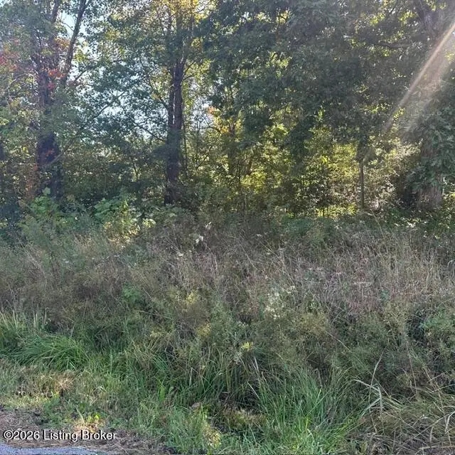 1 Forest Hill Rd, Shepherdsville, KY 40165 - #3