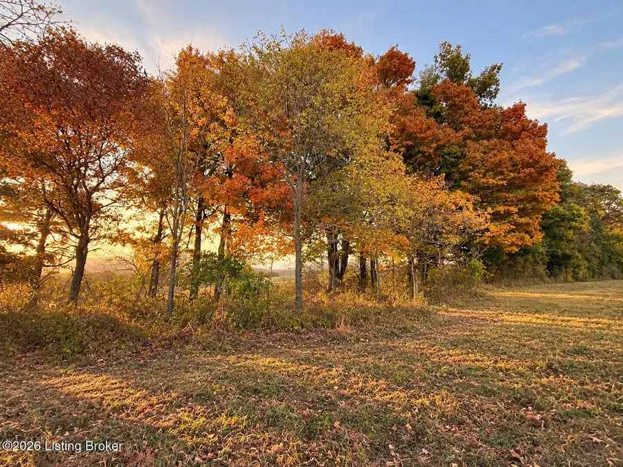 THE Flagship Lot @stallard Springs, Shelbyville, KY 40065 - #2