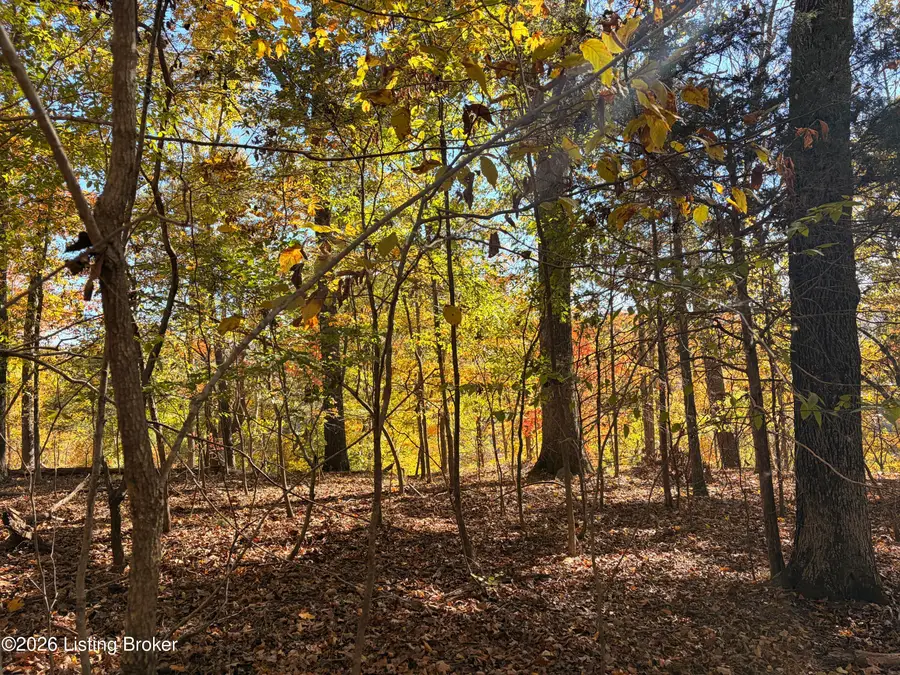 14 Edgewater Ln, Leitchfield, KY 42754 - #3