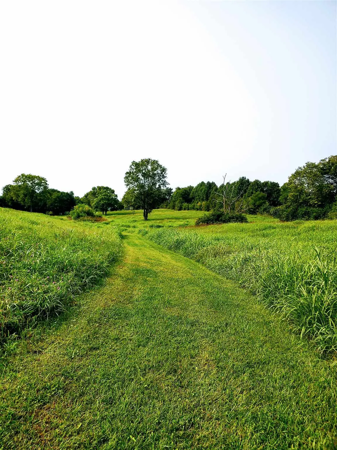 1380 Ky Hwy 36 E, Cynthiana, KY 41031 - #1