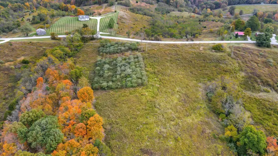 Lot #2 Georgetown Road, Owenton, KY 40359 - Image #2