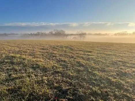 tract 3 Hwy 1316, Sparta, KY 41083 - Image #1