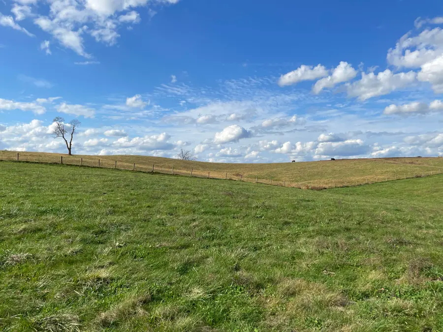 251 Finnell Pike, Cynthiana, KY 41031 - Image #3