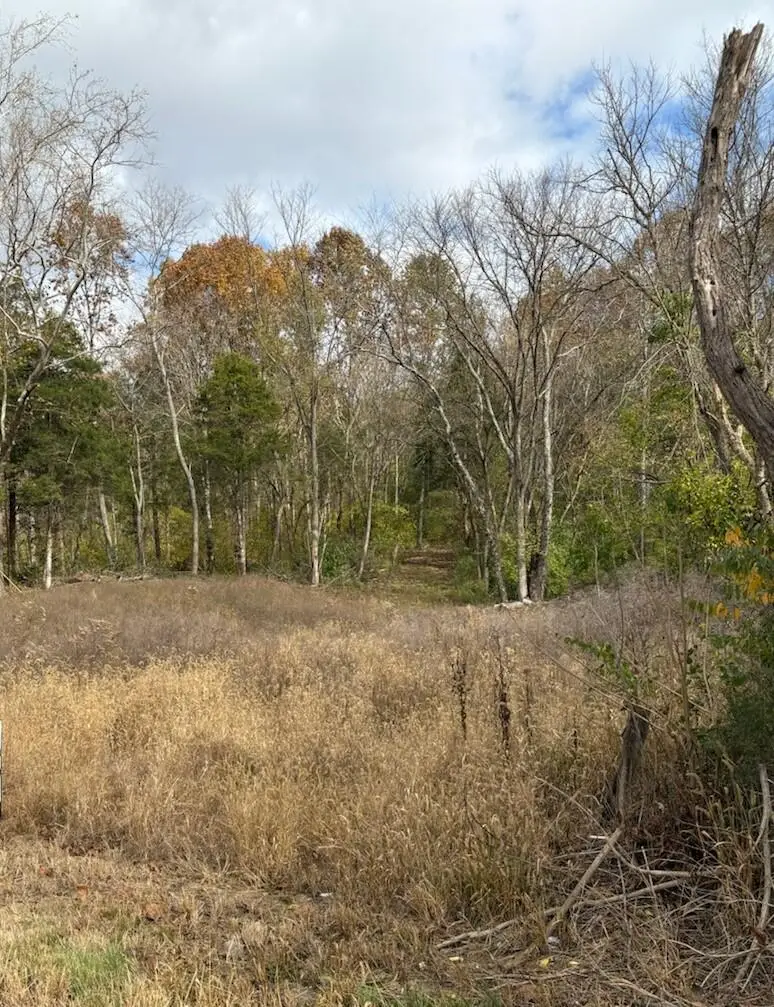 0 Ky 47, Sanders, KY 41083 - Image #3