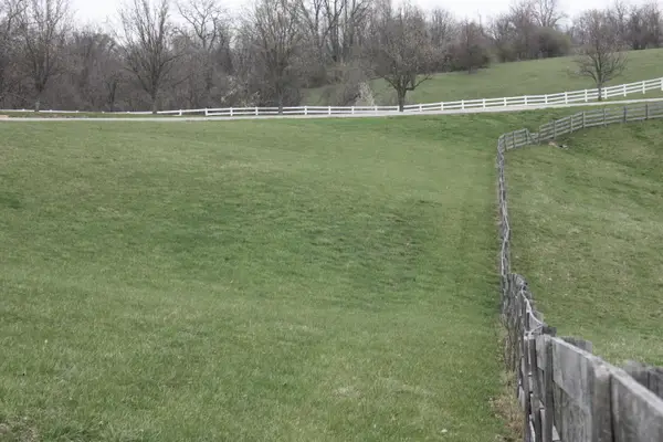 9520 East Bend Road, Burlington, KY 41005