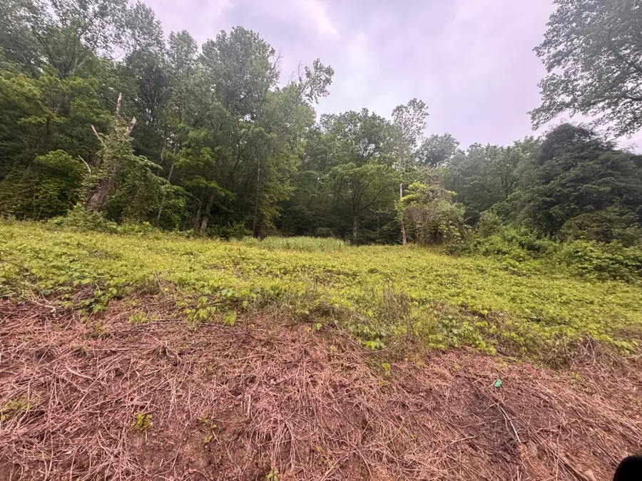 499 Little Bullskin Road, Oneida, KY 40972 - Image #3