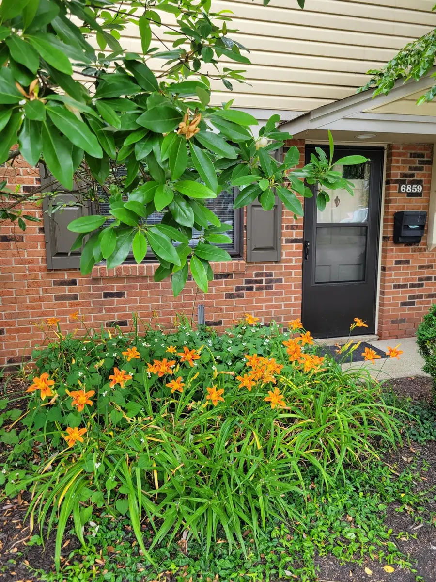 6859 Curtis Way, Florence, KY 41042 - Image #2