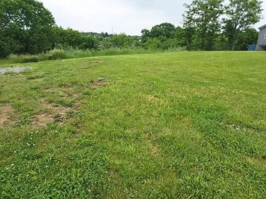 305 Eagle Ridge Drive, Dry Ridge, KY 41035 - Image #3