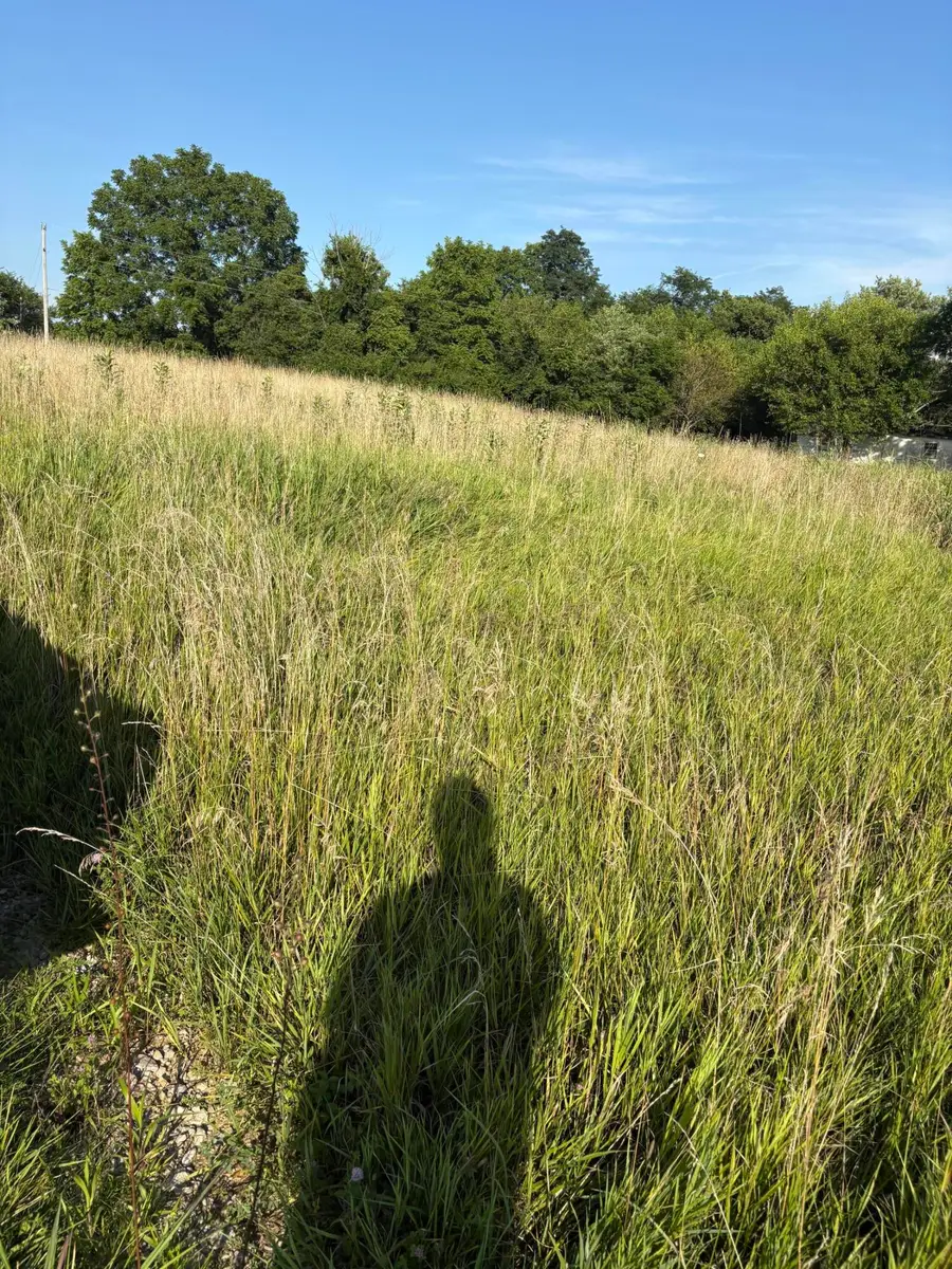 150 Gaines Avenue, Owenton, KY 40359 - Image #3