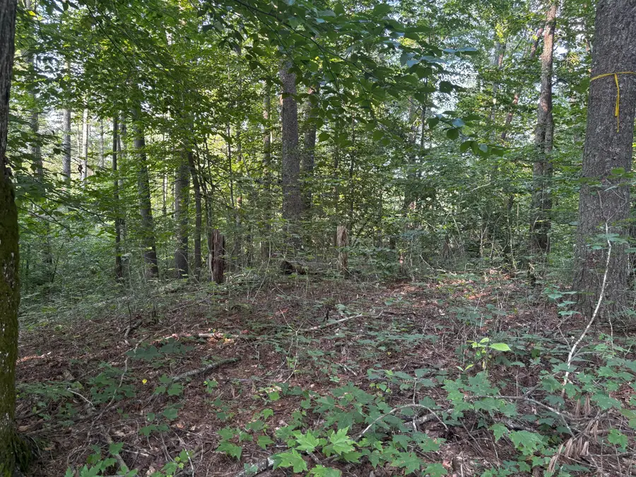 Lot 7 Victory Falls Development, Campton, KY 41301 - Image #3
