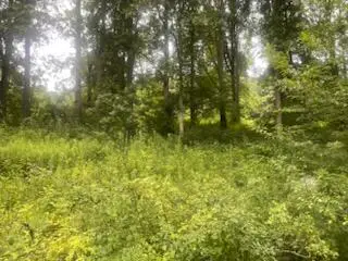 4300 Dale Williamson Road, Union, KY 41091 - Image #3