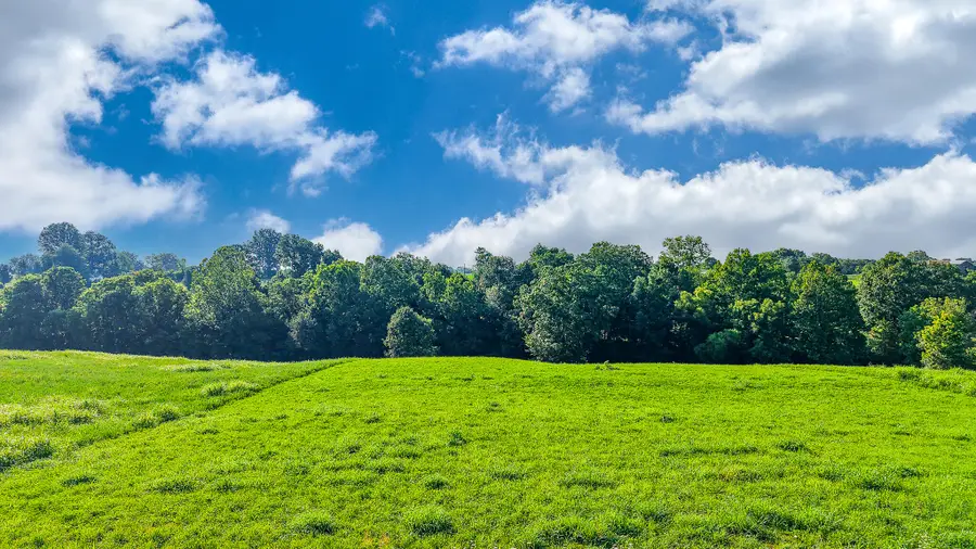 Lot #14 Evanwood Drive, Owenton, KY 40359 - Image #3