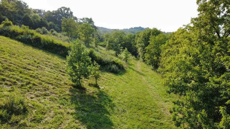 3837 Rich Road, Morning View, KY 41063 - Image #3