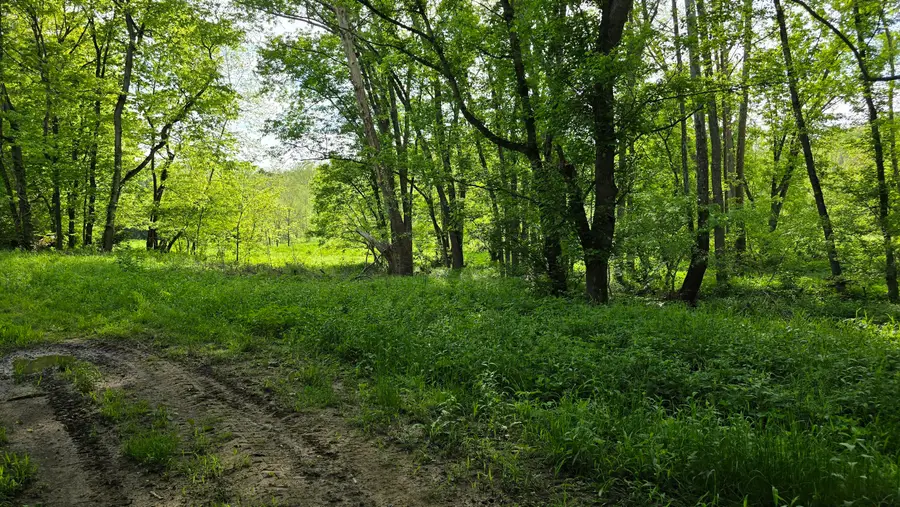 Tract 2 Folsom Jonesville Road, Glencoe, KY 41046 - Image #2