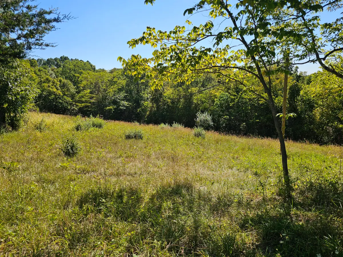 2456 Ky-467, Demossville, KY 41033 - Image #1