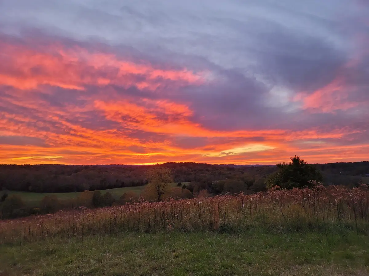 9102 Kentontown Road, Mount Olivet, KY 41064 - #1