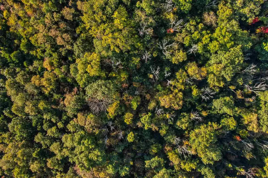 0 Bradford, Parcel B Road, Foster, KY 41043 - Image #3