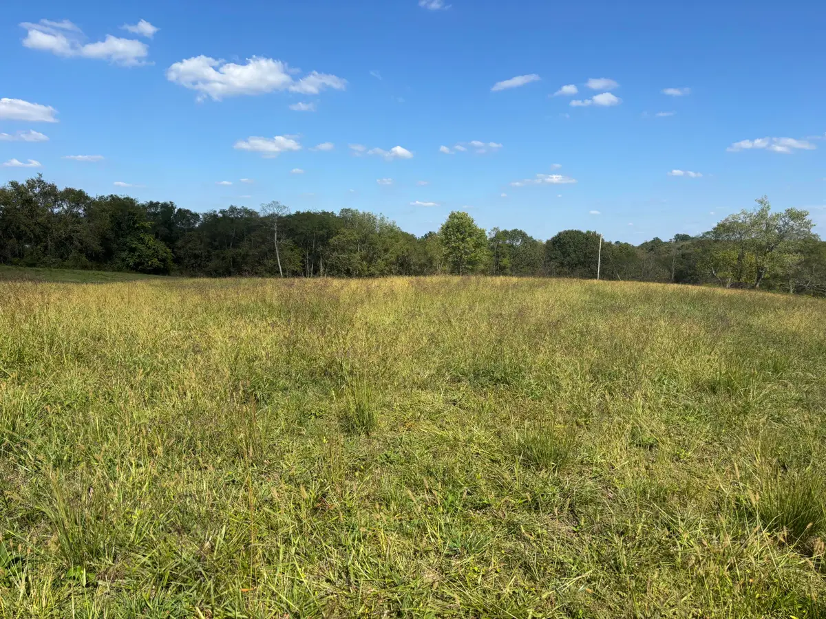 0 1316 Hwy #Tract I, Sparta, KY 41086 - Image #1