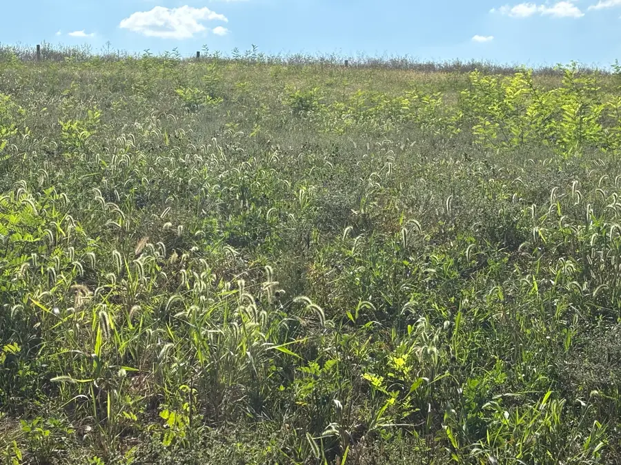 0 1316 Hwy #Tract H, Sparta, KY 41086 - Image #3