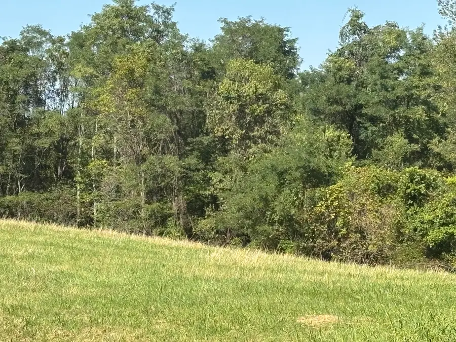 0 16 Hwy #3acres, Warsaw, KY 41095 - Image #3